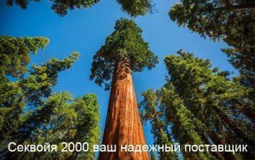 Описание изображения
